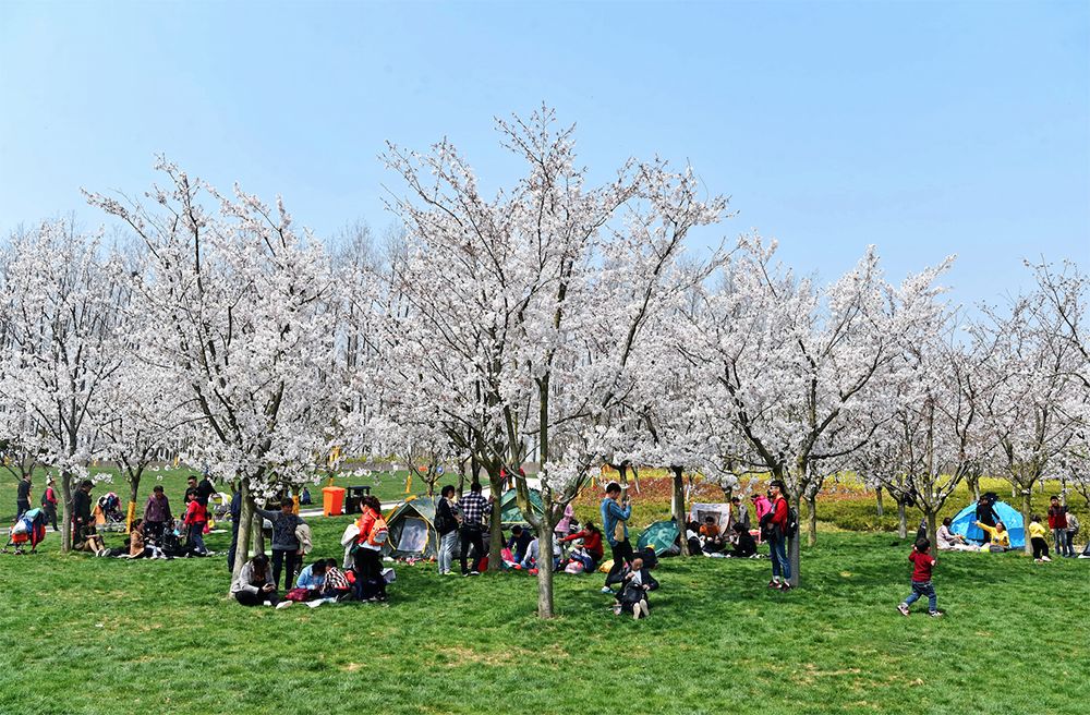 致公路沿线群众一封信,致马拉松运动员的一封信