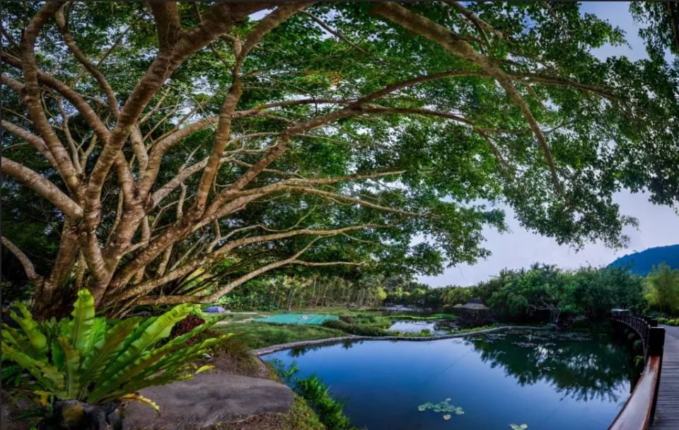 41℃啊啊啊,海南9市县热“爆表”!最佳避暑地竟是三亚?