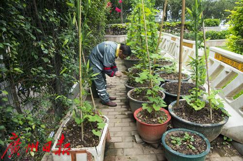 不简单！白墙青瓦番禺小洋楼，内藏保护地球超级英雄？