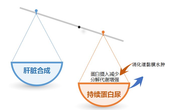 科普肾脏,医学科普出汗和肾脏关系