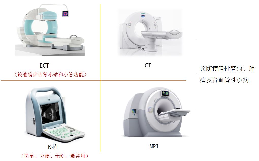 科普肾脏,医学科普出汗和肾脏关系
