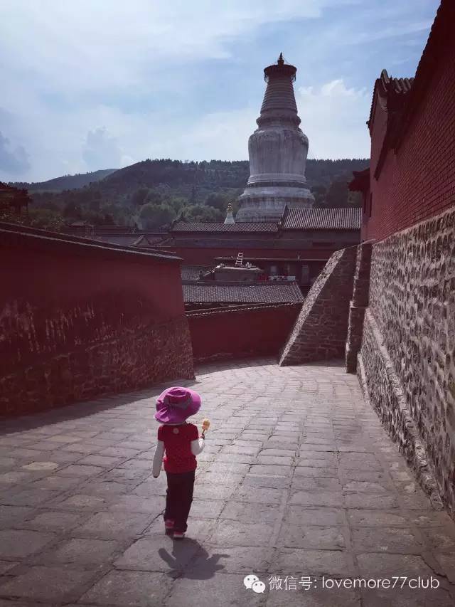 防晒遮阳帽推荐,防晒遮阳帽天天甄选