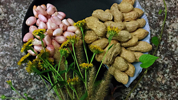 “你读我听”选登｜《落花生》里的政绩观