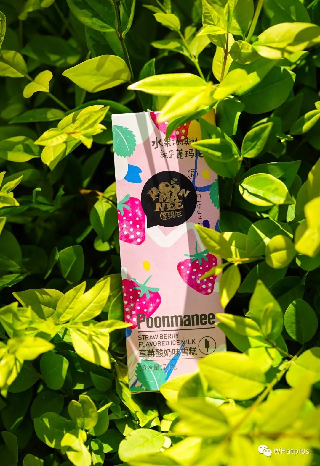 舔屏开始|2019武汉入夏冰淇淋大赏，请查收～