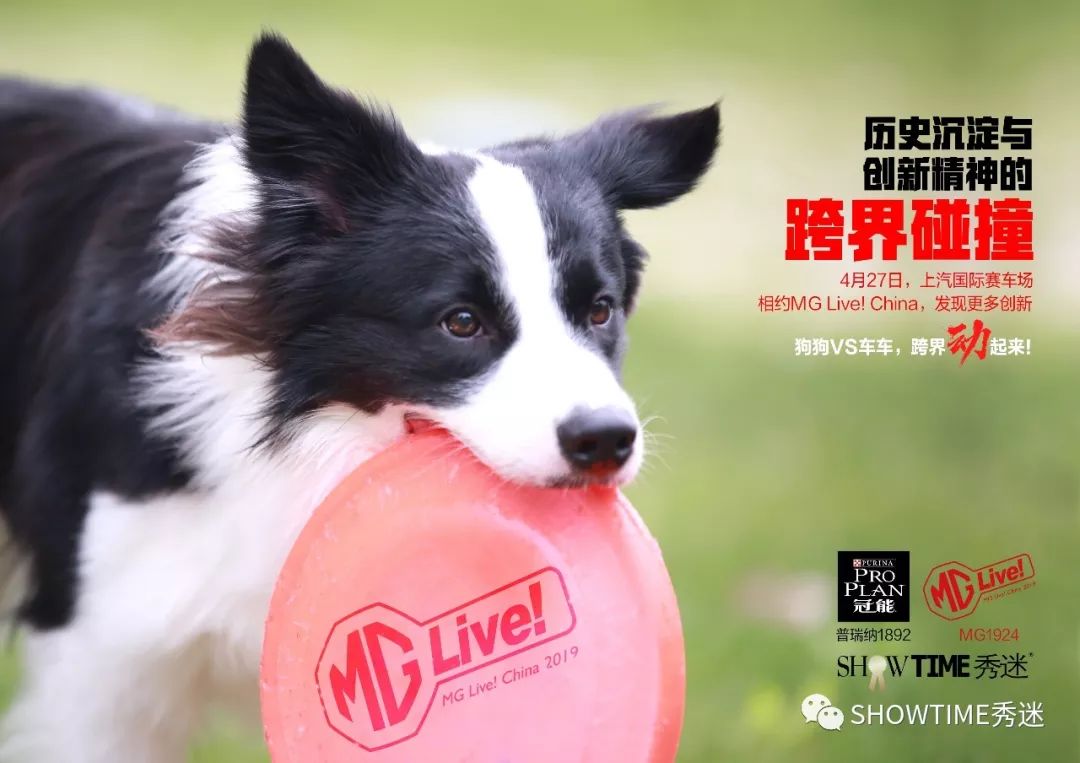 宠圈跨界车圈，带狗去上汽国际赛车场“飙”一下！