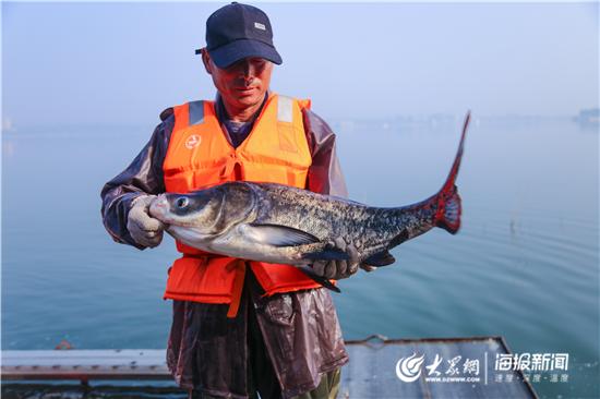 淄博:萌山水库上演人欢鱼跃“捕鱼季”首日捕鱼“鱼王”足足30斤