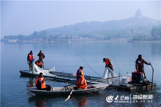 淄博:萌山水库上演人欢鱼跃“捕鱼季”首日捕鱼“鱼王”足足30斤