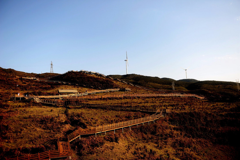 牛棚梁子全部视频,牛棚梁子