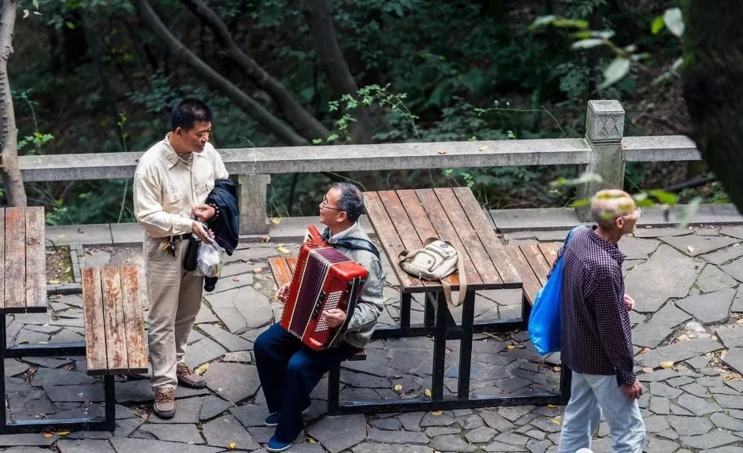 苏州4a级景区门票价格,苏州A级景区有多少个