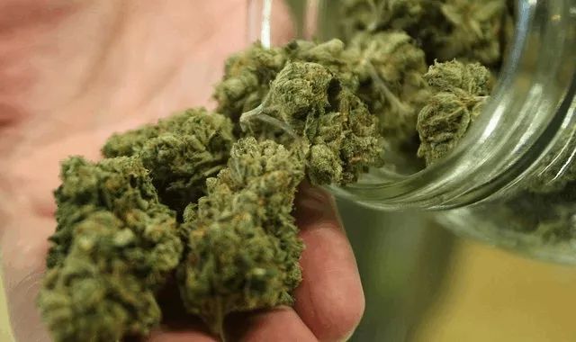 底线不容触碰！“90后”外国留学生在中国大学寝室种植贩卖*麻大**！逮捕！