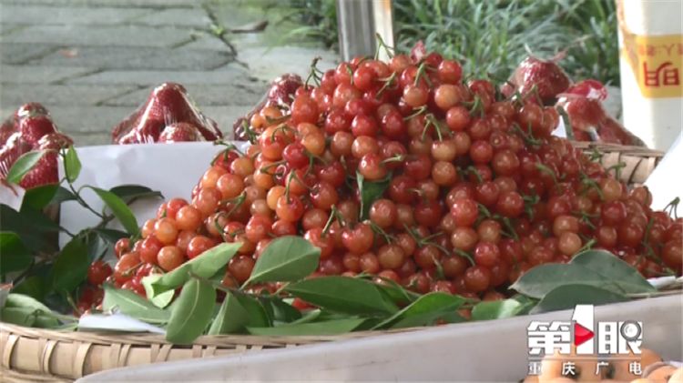 樱桃用盐水泡出虫子还能吃吗,樱桃有虫子还能吃吗快来看看