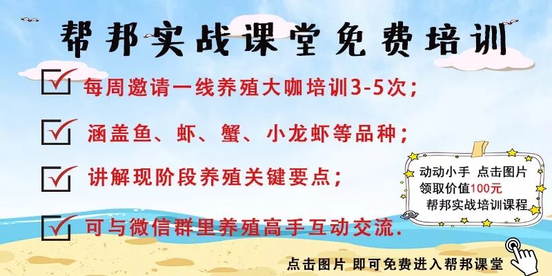 蟹塘水体浑浊如何调整,虾蟹塘水质浑浊怎么办