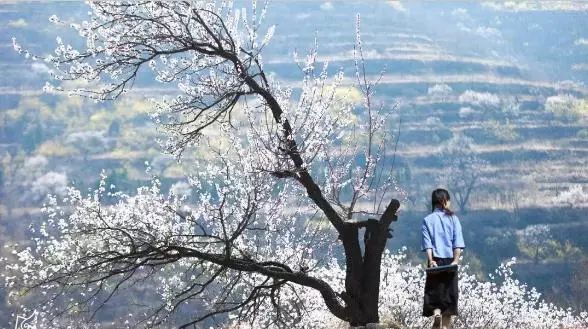 “五一”去哪玩？潍坊假期超丰富文旅大餐来袭！