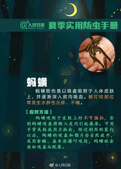 当心被虫子咬,当心有毒虫