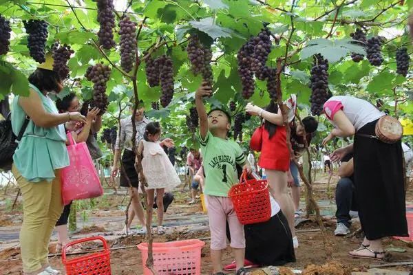 娴峰彛瑗挎捣宀告俯娉夊摢閲屽ソ,闈掑矝瑗挎捣宀告俯娉夊摢閲屽ソ