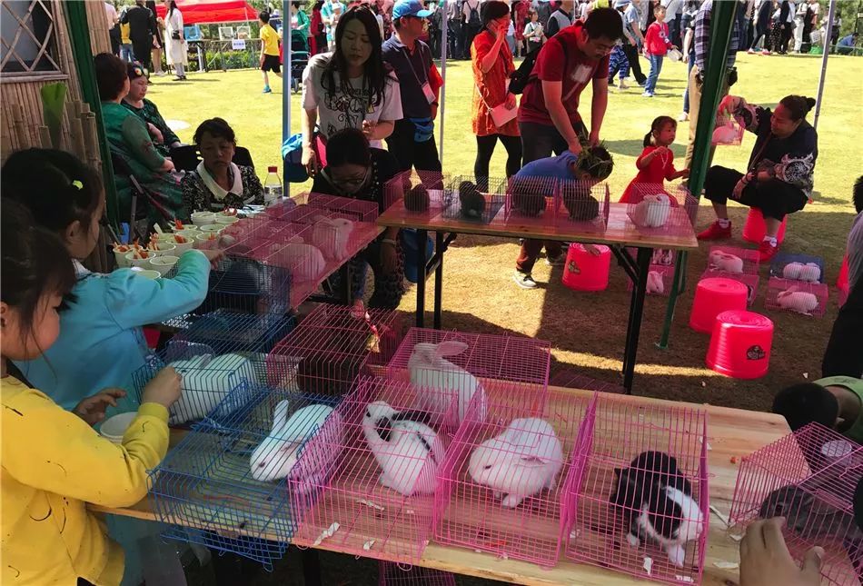 汉口里有什么活动吗,汉口白天儿童旅游攻略