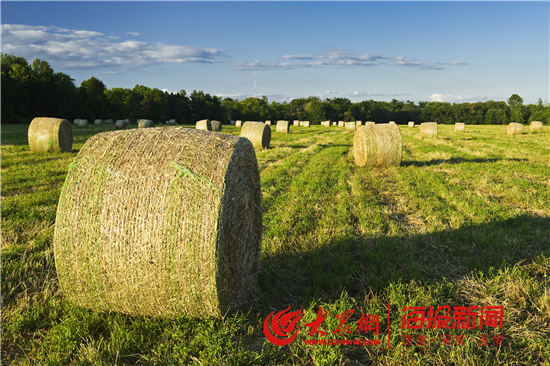 得益乳业酸牛奶,得益牛奶臻选