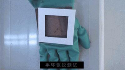 不带薄荷的驱蚊手环 (超级好用的一款驱蚊手环)