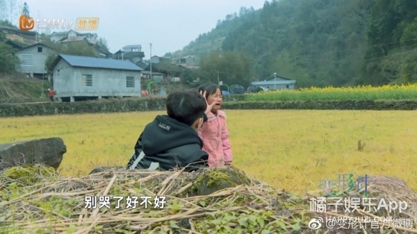 陈新颖变形计抖音,变形计陈新颖现在怎么样了