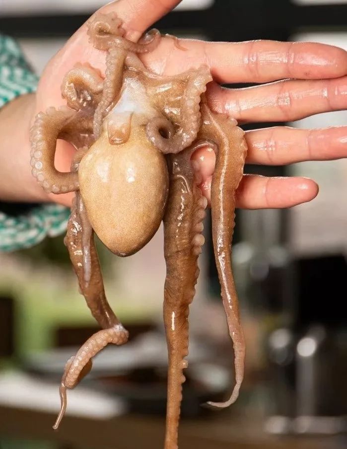 人均能吃到饱的海鲜,人均50能吃到全鱼宴吗