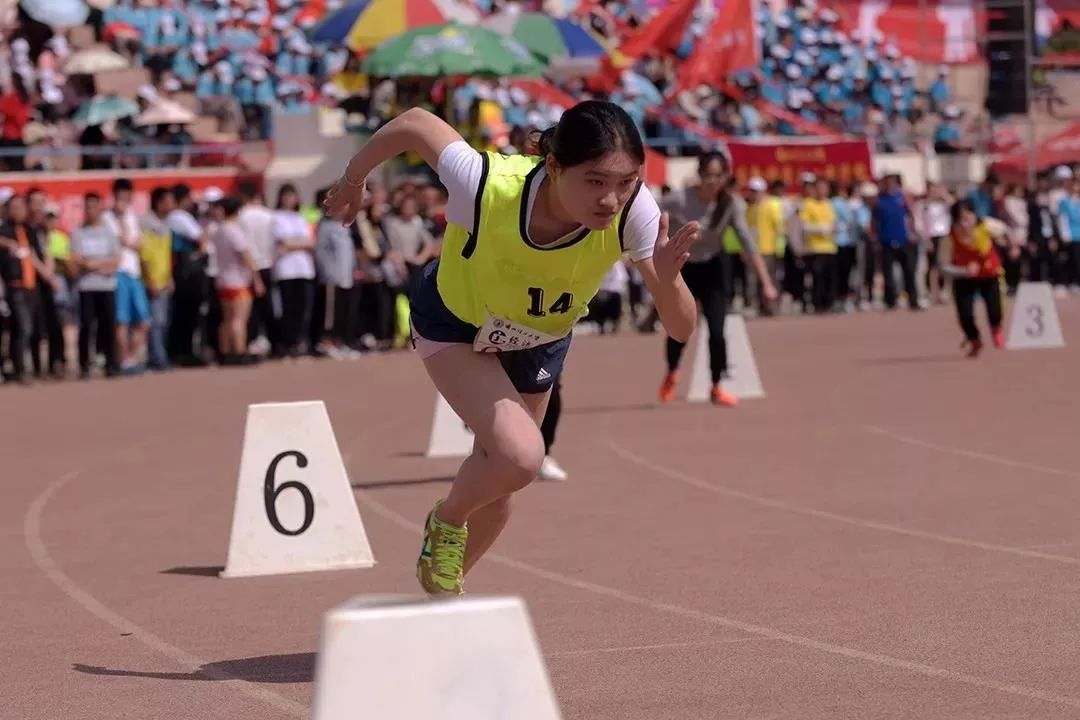 湖南省第四届中学生运动会秩序册,运动会秩序手册