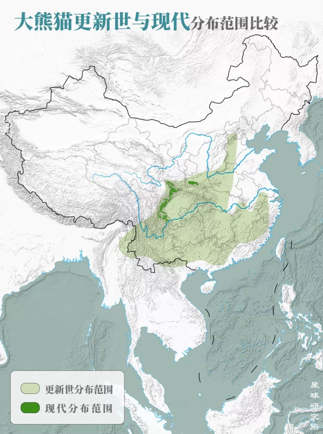 熊猫萌,熊猫萌啦