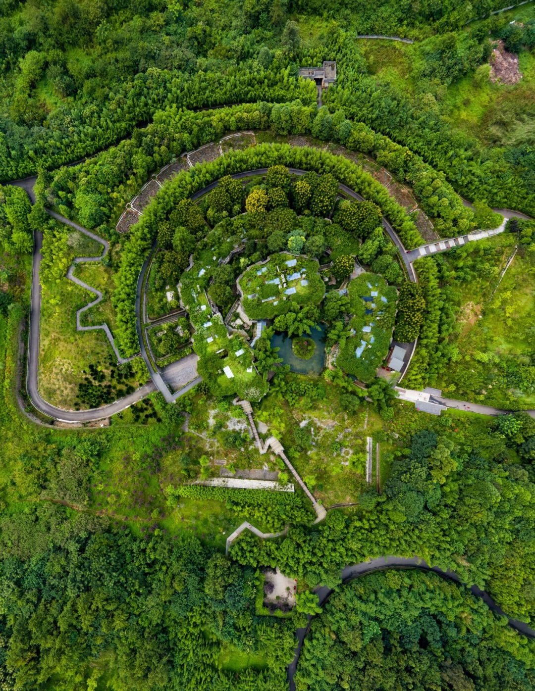 【荐读】熊猫：萌啥子哟，我是要雄起！