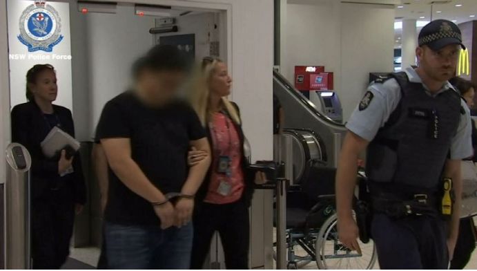 女代购被捕,大量代购奶粉被查官方回应