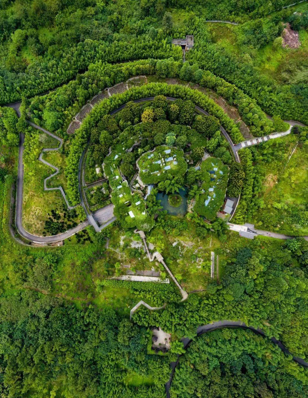 熊猫萌啦,熊猫萌