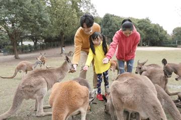 去处｜你真的知道怎么玩转上海野生动物园吗？最全指南在这里！