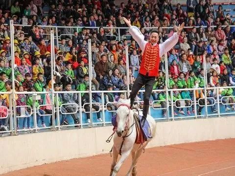 上海野生动物园游览攻略,上海野生动物园的旅游路线示意图