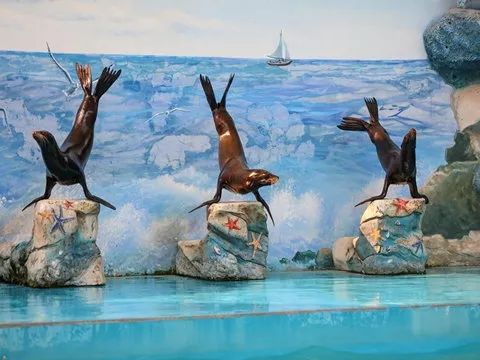 上海野生动物园游览攻略,上海野生动物园的旅游路线示意图