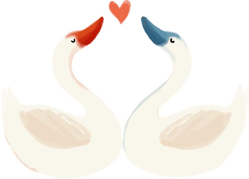 合肥工业大学2024年本科招生简章,合肥工业大学2019年招生简章