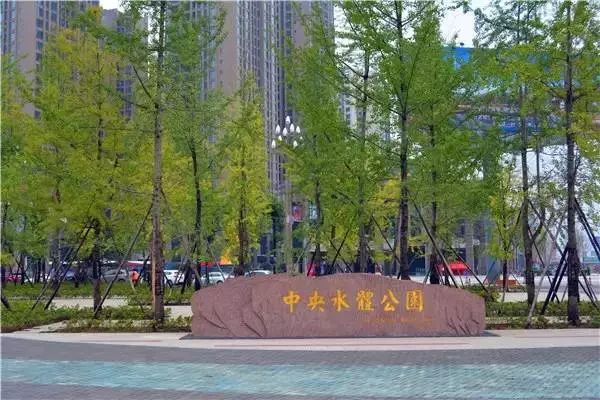 不必远行自有风景,不必远行在家度假