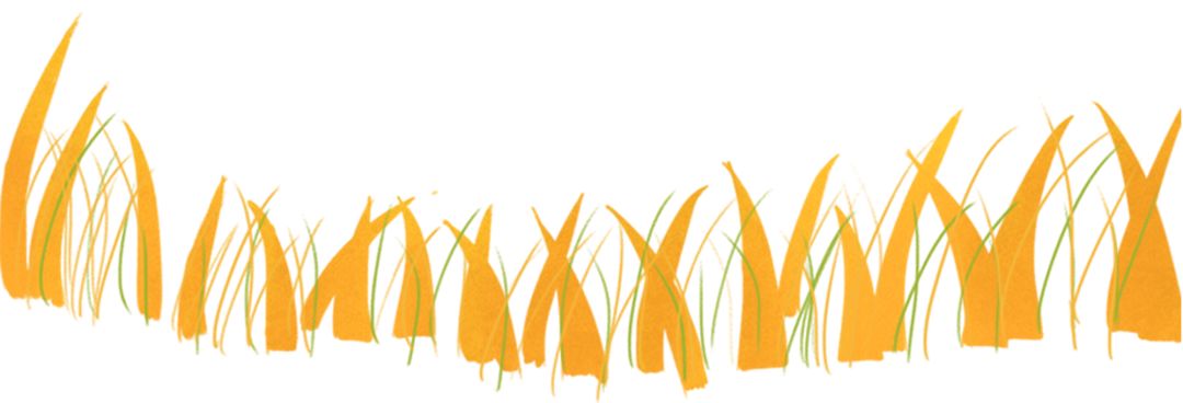 通化市2019年田径运动会,通化市体育场2018运动会