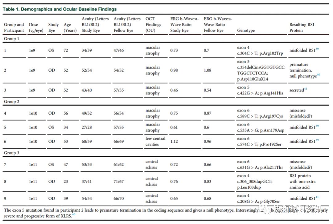 文摘速递丨X-连锁视网膜劈裂基因治疗的I/IIa期临床试验
