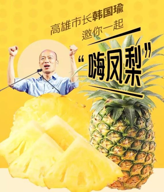 为了给你这个春天最好的凤梨，我们亲自去了高雄田间…