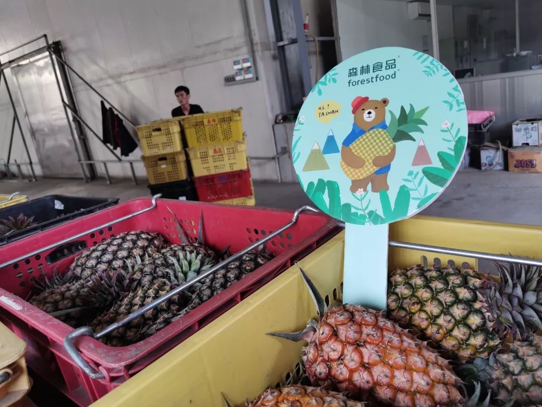 为了给你这个春天最好的凤梨，我们亲自去了高雄田间…