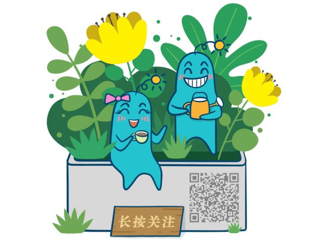 2020最具收藏价值十大公众号,2020最具价值十大公众号