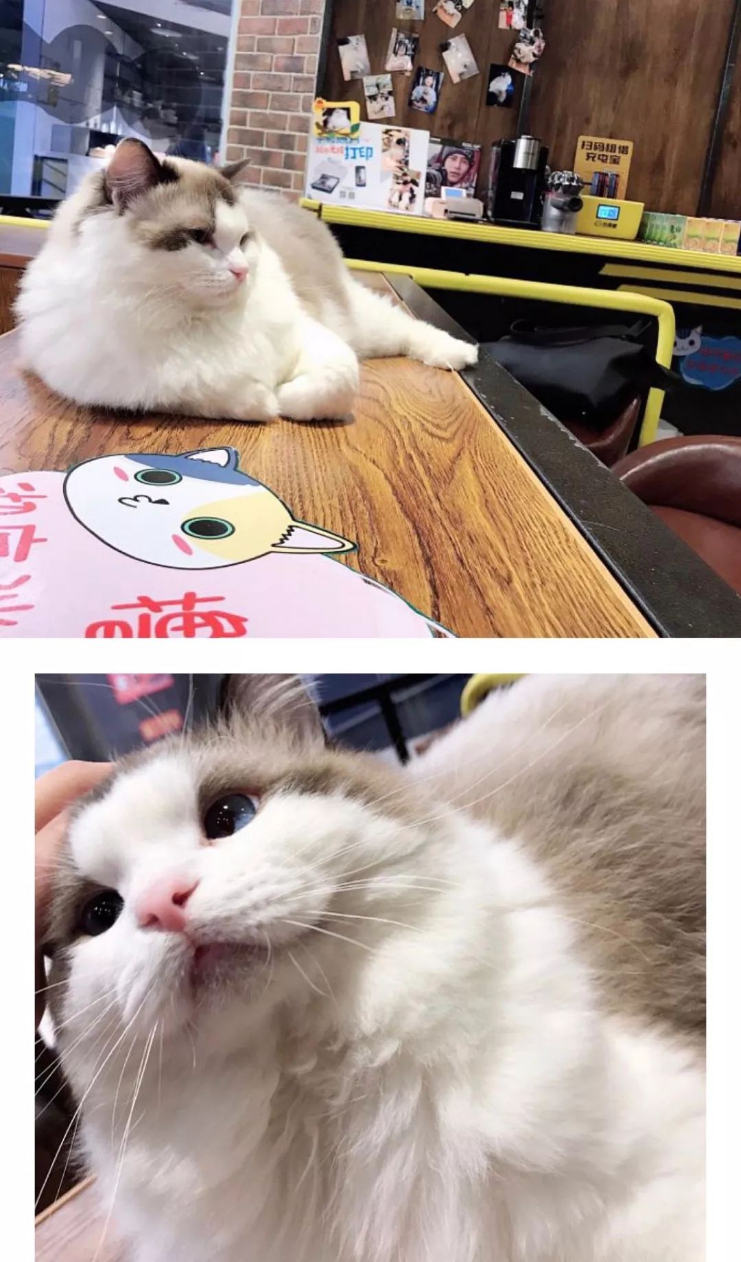 假期除了看电影逛街还可以干啥,假期千万不要出去玩的地方