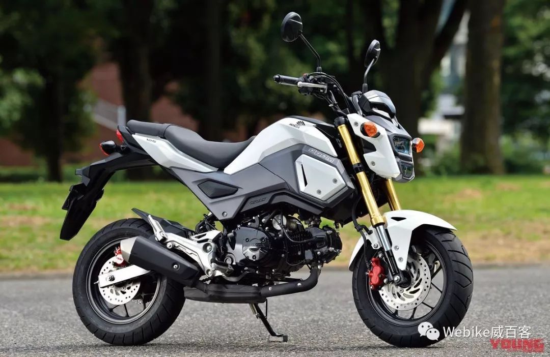 honda小排量,honda小车型