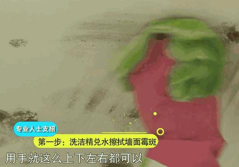 家里墙壁发霉怎么快速去除,墙壁发霉有很多小虫子怎么去除