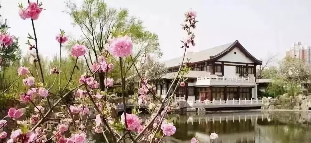 天津免费18个公园,城事天津