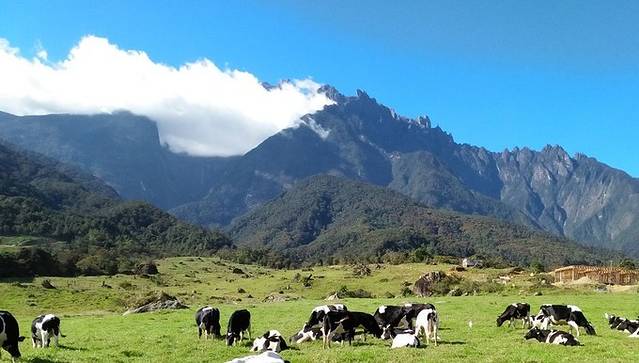 亚庇攻略三天两晚,亚庇选岛攻略