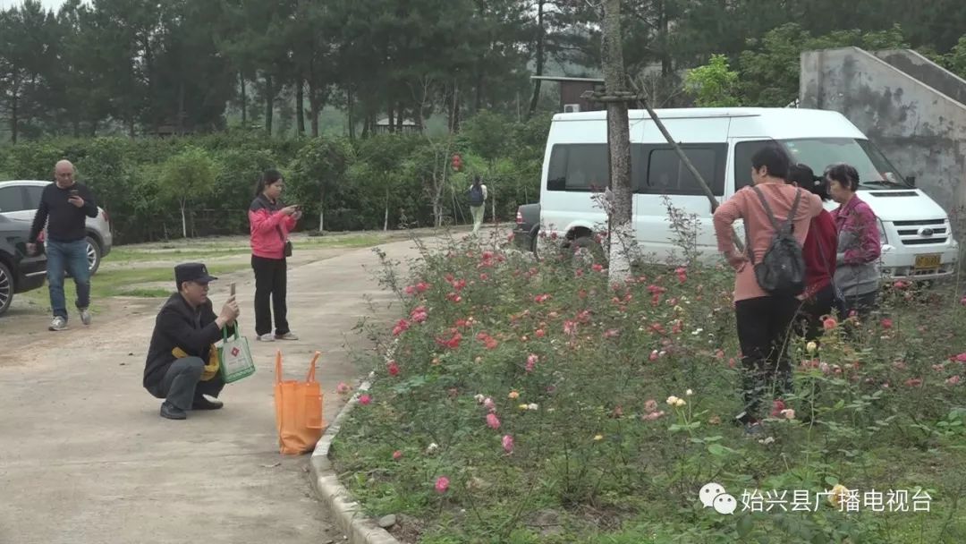 始兴开心农庄,始兴顿岗开心农庄要不要门票
