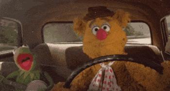 韩国旅游团游轮直播,韩国游轮旅行直播