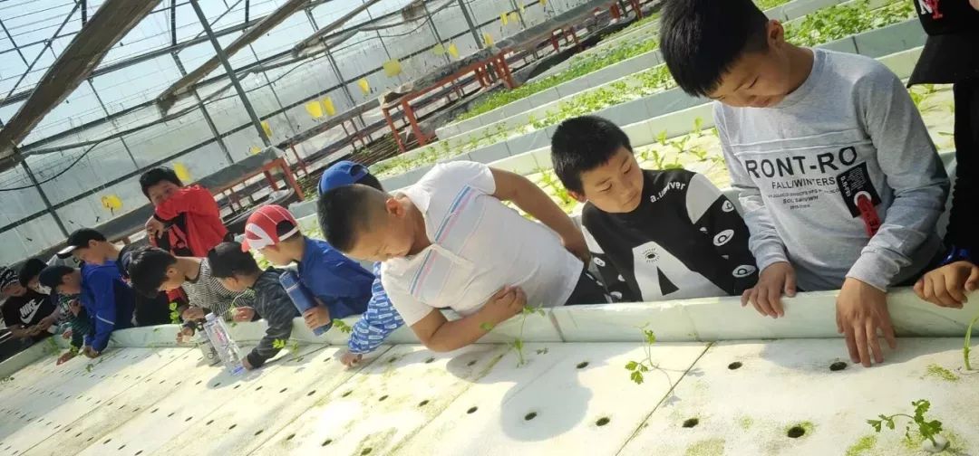 唐山今年的五一,唐山五一有什么活动