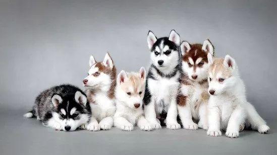 <html>
<head><title>502BadGateway</title></head>
<body>
<center><h1>502BadGateway</h1></center>
<hr><center>nginx</center>
</body>
</html>
<!--apaddingtodisableMSIEandChromefriendlyerrorpage-->
<!--apaddingtodisableMSIEandChromefriendlyerrorpage-->
<!--apaddingtodisableMSIEandChromefriendlyerrorpage-->
<!--apaddingtodisableMSIEandChromefriendlyerrorpage-->
<!--apaddingtodisableMSIEandChromefriendlyerrorpage-->
<!--apaddingtodisableMSIEandChromefriendlyerrorpage-->
