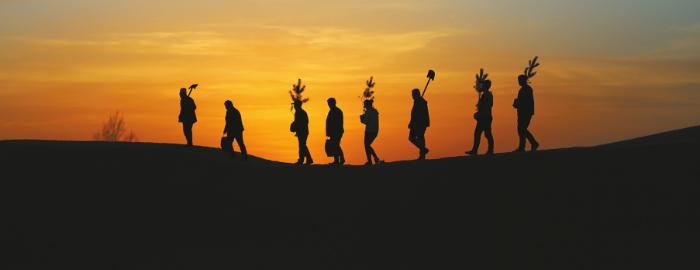 行走在大漠戈壁,行走在新疆的胡杨