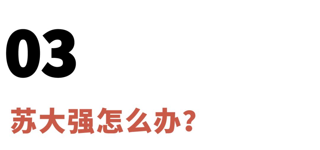 苏明哲们的美国生活,苏明哲们的美利坚